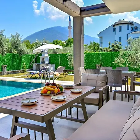 Vilă Almilalin 6 Bedroom For Rent In *